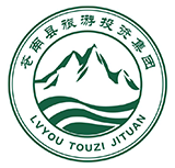 洋洋的花千子公司